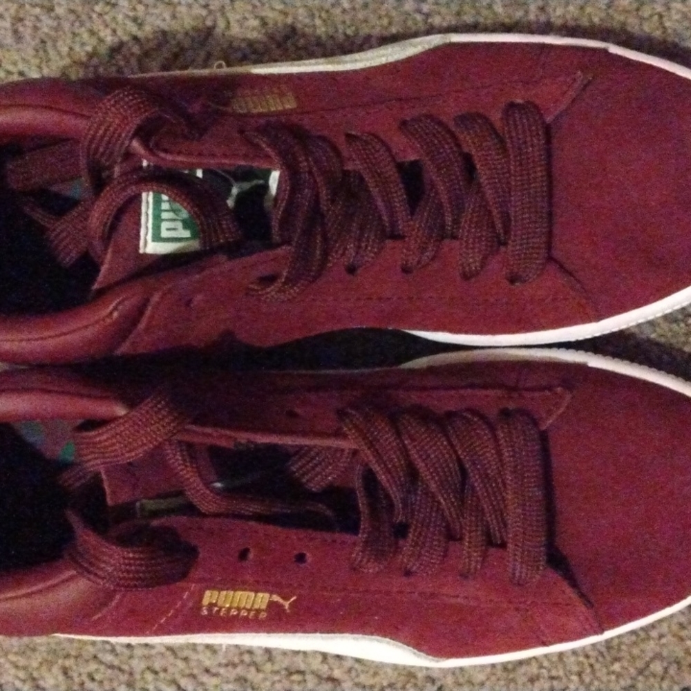 pumas